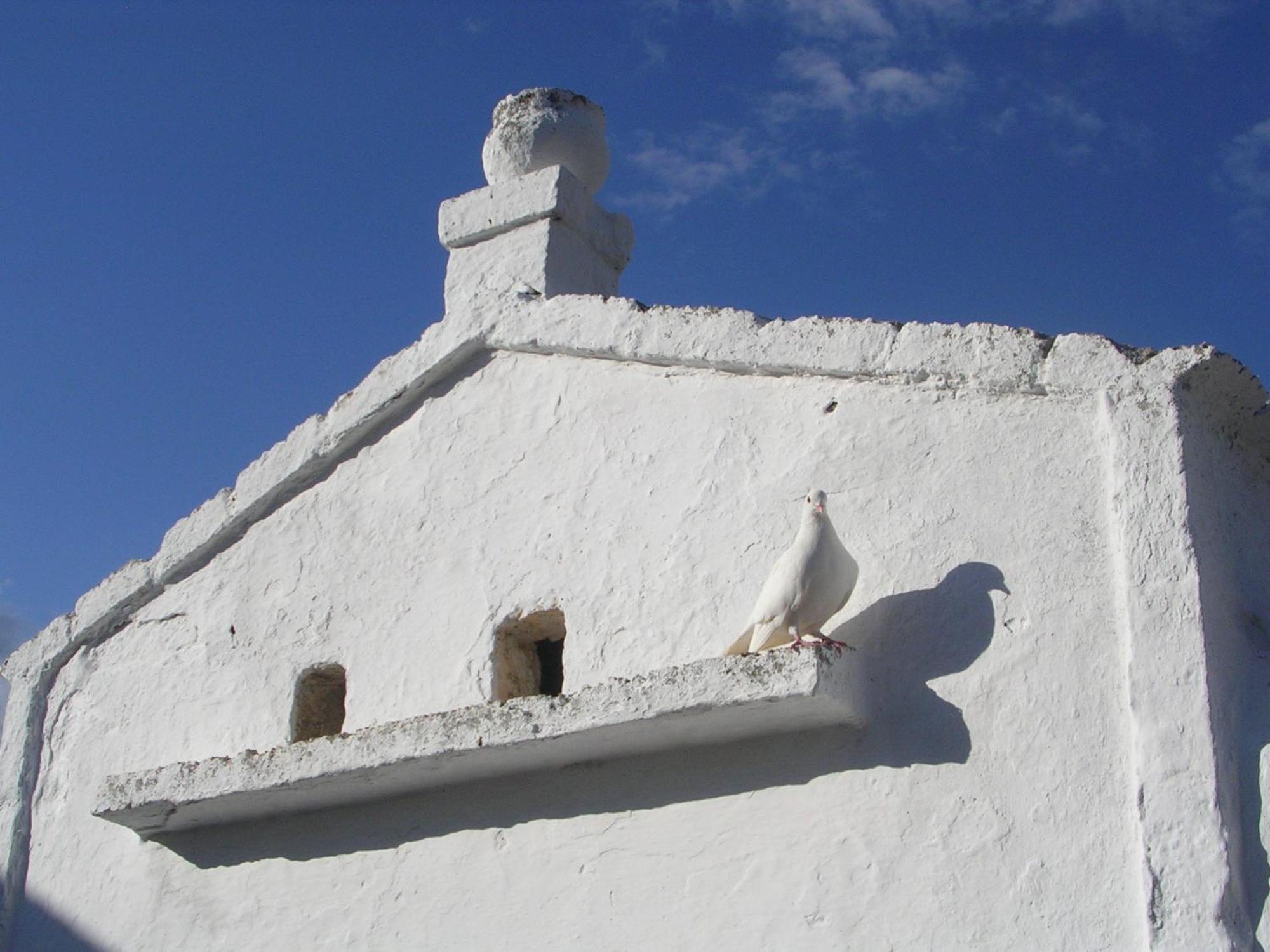 فاسانو Masseria Purgatorio المظهر الخارجي الصورة