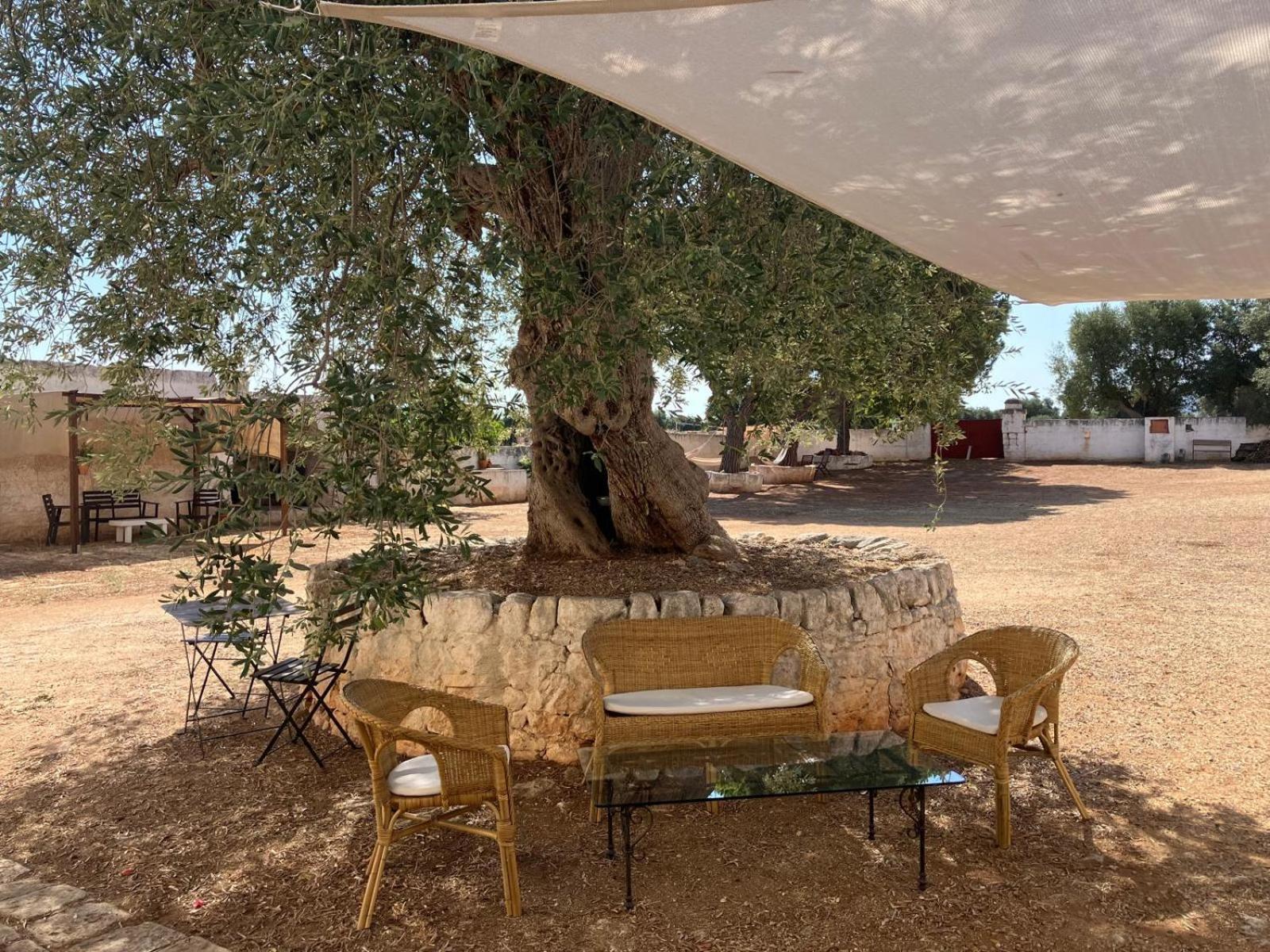 فاسانو Masseria Purgatorio المظهر الخارجي الصورة